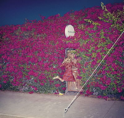 Feist album cover -Pleasure